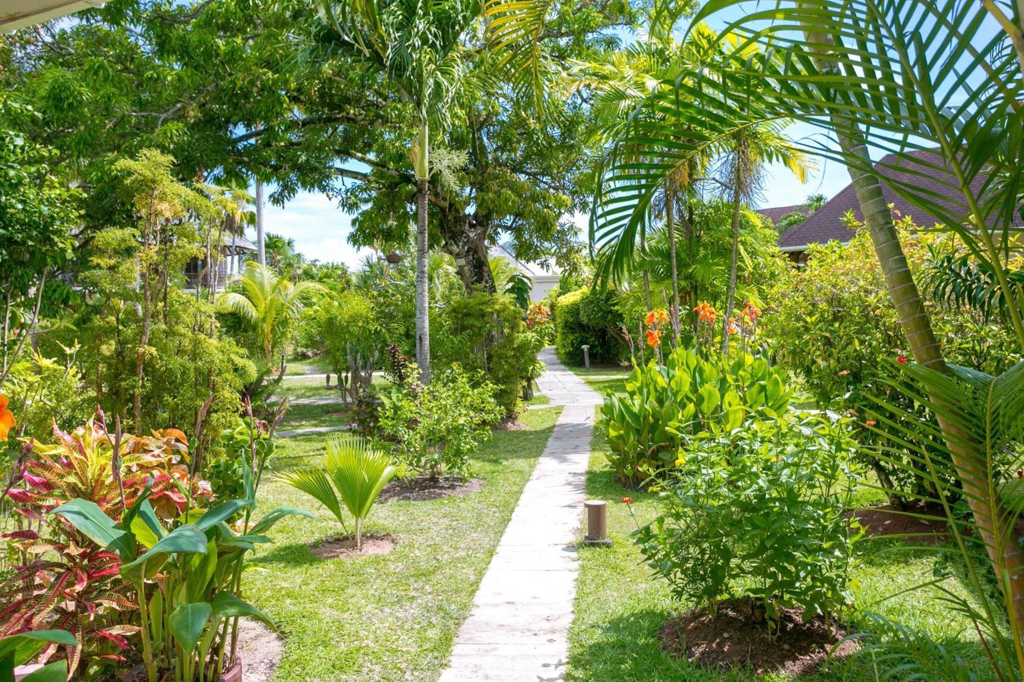 Les Lauriers Eco Hotel Anse Volbert Village 外观 照片